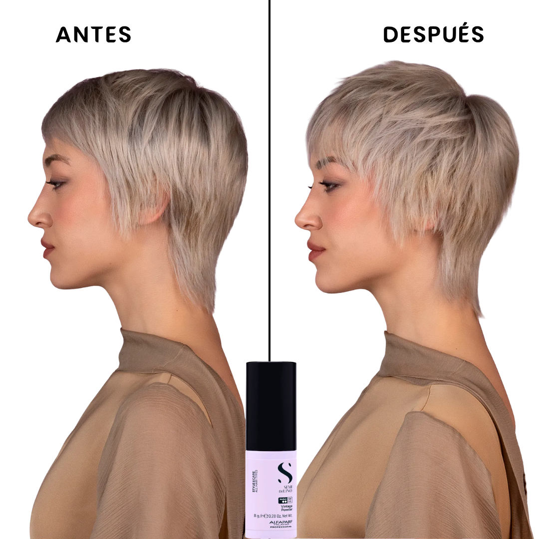 Alfaparf Style&Care Vintage Powder