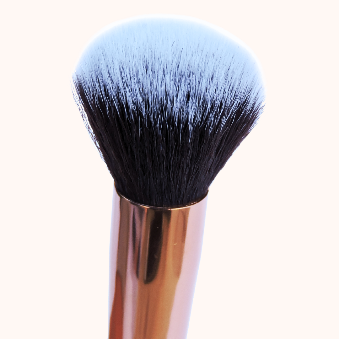 Suesy Brocha para Polvo SB01 Profesional